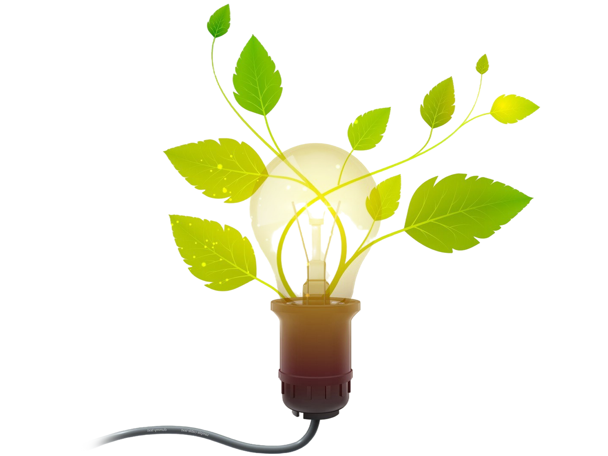ASEL yellow light bulb